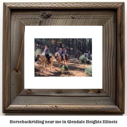 horseback riding near me in Glendale Heights, Illinois